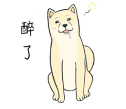 The fool shiba sticker #11850216