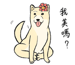 The fool shiba sticker #11850217