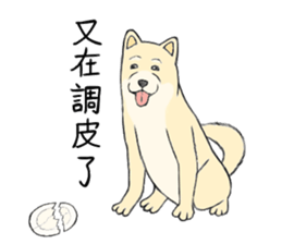 The fool shiba sticker #11850218