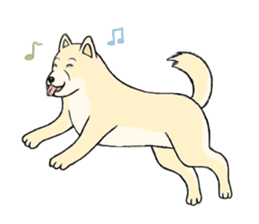 The fool shiba sticker #11850225