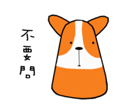 Life of Corgi Miluku sticker #11850258