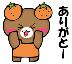 National bear of an orange sticker #11851505