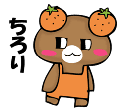 National bear of an orange sticker #11851519