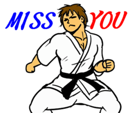 Karate-Man 2 sticker #11851691