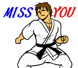 Karate-Man 2 sticker #11851691