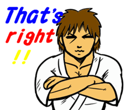 Karate-Man 2 sticker #11851693