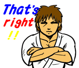 Karate-Man 2 sticker #11851693