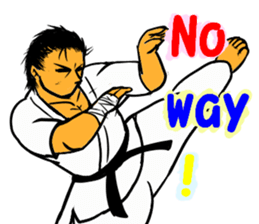 Karate-Man 2 sticker #11851702