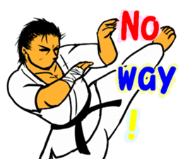 Karate-Man 2 sticker #11851702