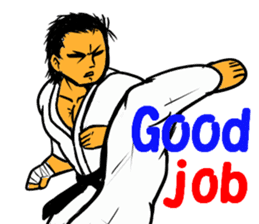 Karate-Man 2 sticker #11851706