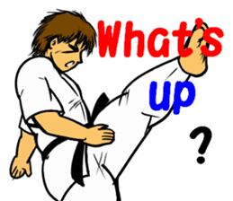 Karate-Man 2 sticker #11851710