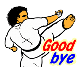 Karate-Man 2 sticker #11851714