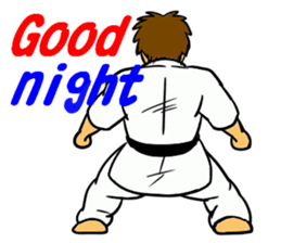 Karate-Man 2 sticker #11851717