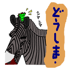 succulent  tanikukun