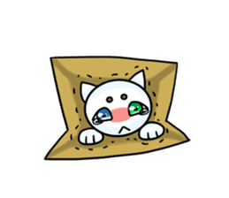 Cat of tears ~shiromaro to furueru~ sticker #11855989