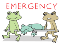 TROPA frogs 3 sticker #11857230
