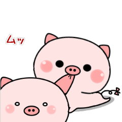 pink baby pig
