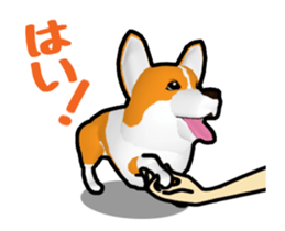 Moving ! Kogio of Corgi! sticker #11857766