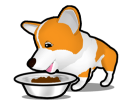 Moving ! Kogio of Corgi! sticker #11857767