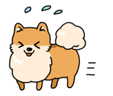 Cute Pomeranian Animation sticker #11857934