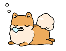 Cute Pomeranian Animation sticker #11857936