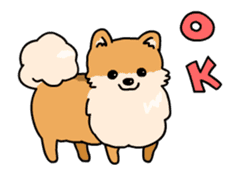 Cute Pomeranian Animation sticker #11857941