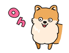 Cute Pomeranian Animation sticker #11857942