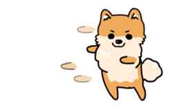 Cute Pomeranian Animation sticker #11857943