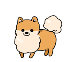Cute Pomeranian Animation sticker #11857945