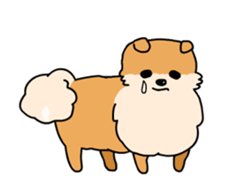 Cute Pomeranian Animation sticker #11857949