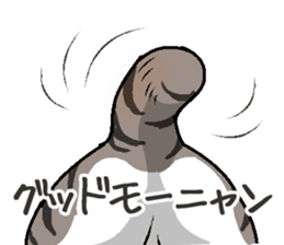 Bobtail cat sticker #11858559