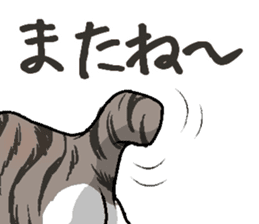 Bobtail cat sticker #11858567
