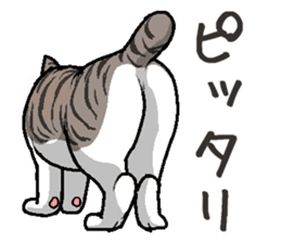 Bobtail cat sticker #11858583