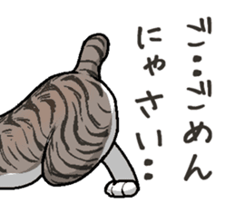 Bobtail cat sticker #11858584