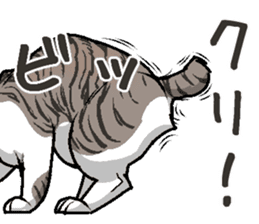 Bobtail cat sticker #11858585