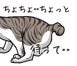 Bobtail cat sticker #11858586
