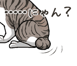 Bobtail cat sticker #11858587