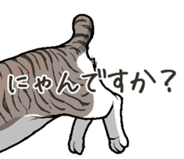 Bobtail cat sticker #11858589