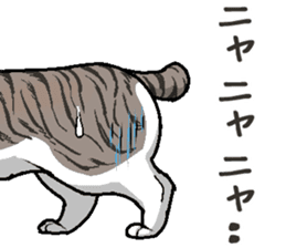 Bobtail cat sticker #11858595