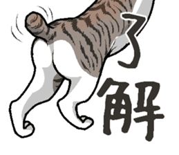 Bobtail cat sticker #11858596