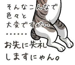 Bobtail cat sticker #11858597