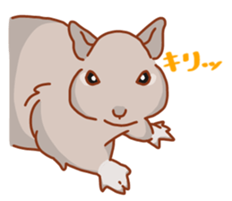 Bushy Degu sticker #11859534