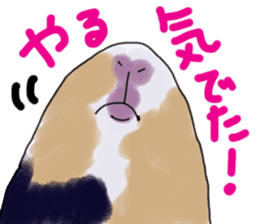 guinea pig Fuku sticker #11860143