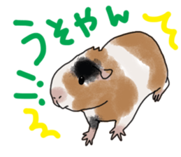 guinea pig Fuku sticker #11860144