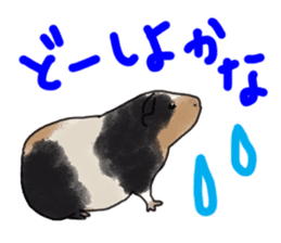 guinea pig Fuku sticker #11860145