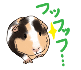 guinea pig Fuku sticker #11860146