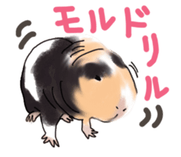 guinea pig Fuku sticker #11860147