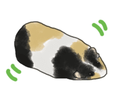 guinea pig Fuku sticker #11860149