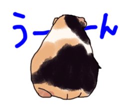 guinea pig Fuku sticker #11860150