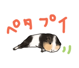 guinea pig Fuku sticker #11860153